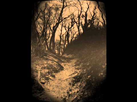 Persistence in Mourning - Interlude II (the changeling)