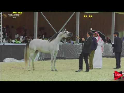 38 NASHMIY AL ZOBAIR   Gulf SE Cup 2018
