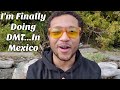 I M Doing DMT Mushrooms Peyote W Shamans In Mexico