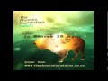 The Phoenix Foundation - Pot