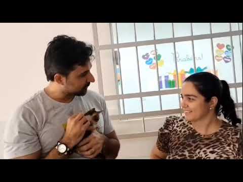 Claudio Marcellini integra núcleo de proteção animal em projetos de educação digital – Cláudio Marcellini