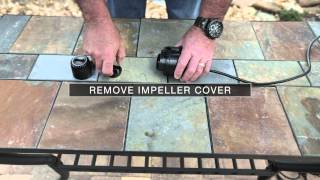 pond boss Low Water Shut-off Pump Maintenance
