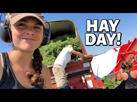 HOW IT'S MADE! | Harvesting Haylage for Sheep Feed (2nd Cut Hay 2020 - Part 3) Vlog 320
