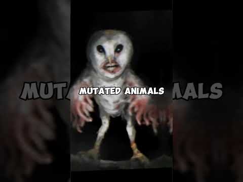 Trevor Henderson | i'm Only Human After All