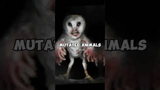 Download lagu Trevor Henderson | i'm Only Human After All mp3