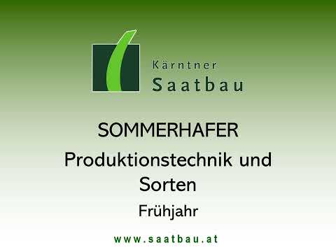 Sommerhafer Produktionstechnik und Sortenbeschreibung