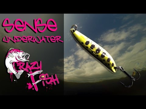 Crazy Fish Sense 6g 70