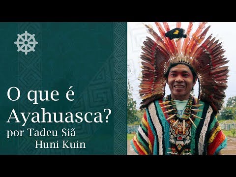 O que é Ayahuasca? Por Pajé Tadeu Siã Txana Hui Bai - Huni Kuin