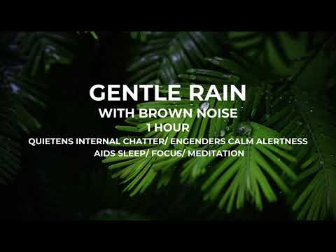 GENTLE RAIN WITH SMOOTHED BROWN NOISE FOR SLEEPING/ FOR FOCUS AND STUDY/ 1 HOUR