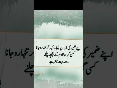 Right 💞#mahrukh #quotes #youtubeshorts #goldenlines #mahrukh #viralvideo #mahrukh