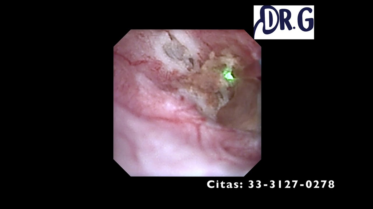 Francisco Gómez Regalado-11