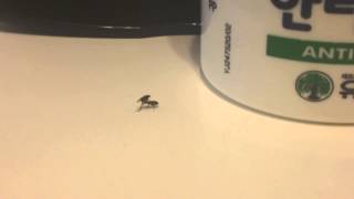 Download lagu So umm, knat sex? LOL mp3