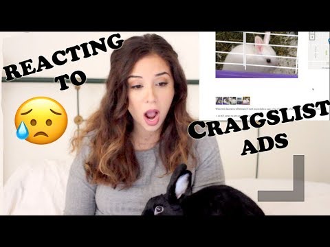 craigslist bunny hutch