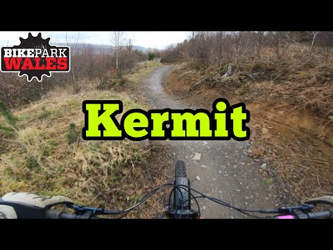 Bike Park Wales - Kermit - Flow Trail