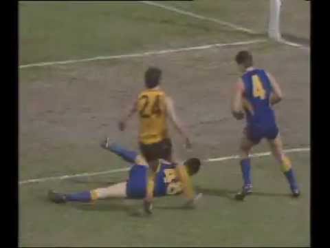 Round 22, 1991 - West Coast vs Hawthorn