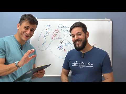 TUDO de GENÉTICA para o ENEM 2026 (didática mágica)