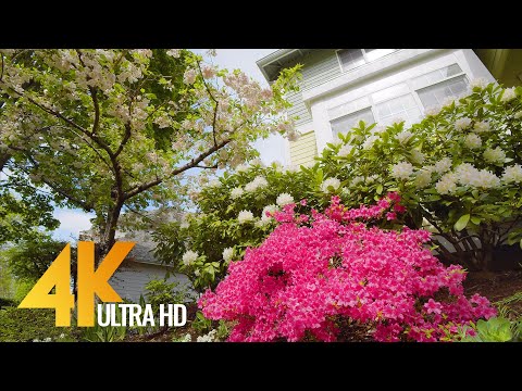 Summer Day in a Beautiful Flower Garden - 4K Relaxation Video with Birds Chirping - 4 HOURS