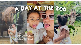 A day at The Zoo - තව පොඩ්ඩෙන් එන්න වෙන්නේ තනියම