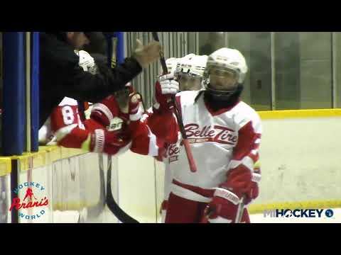 2019 MAHA Squirt A state championship - Compuware vs  Belle Tire
