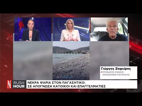 Νεκρά ψάρια στον Παγασητικό: Σε απόγνωση κάτοικοι και επαγγελματίες