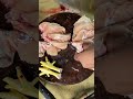 Traditional Cutting Cuttingchicken Videoshort