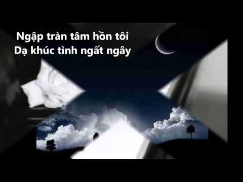 Dạ khúc chiều xưa - Ngọc Quy