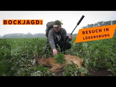 ceska-zbrojovka: Bockjagd mit CZ und GPO: Zu Besuch bei der Jagdschule Lüdersburg in Niedersachsen