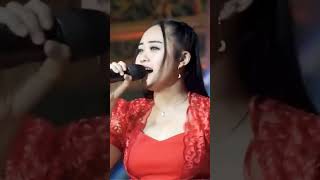 Download lagu KU INGIN NURMA PAEJAH ADELLA mp3