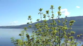 preview picture of video 'Lago Ness visto do Castelo de Urquhart, na Escócia'