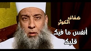 صورة برنامج ضفاف الكوثر