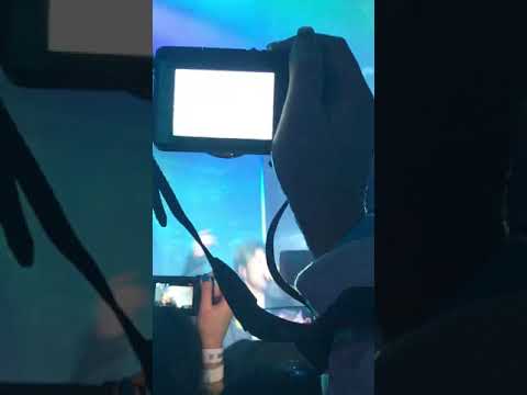 190413 하온 아디다스 DAY&NIGHT - Freedumb with 양승호