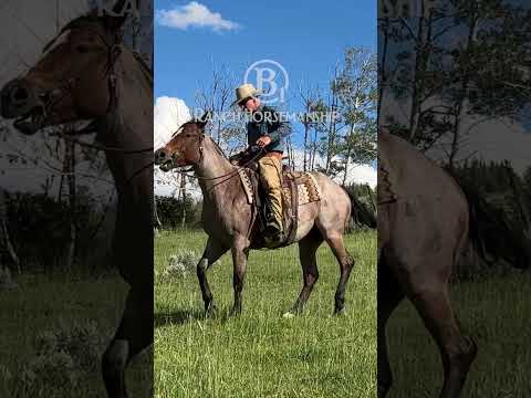 Get the rear end to do the work #b1 #b1horsemanship #beone #es20