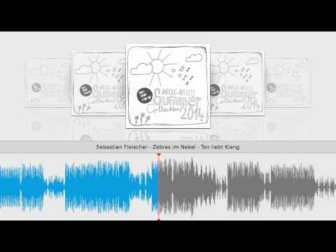 Sebastian Fleischer - Zebras im Nebel - Ton liebt Klang