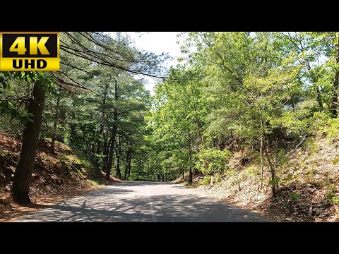 4K Walk in Massachusetts - Breakheart Reservation