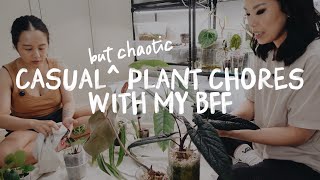 my best friend does plant chores i don't wanna do 🙂↔️