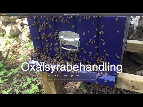 Oxalsyrbehandling