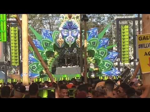 Major 7 vs Reality Test  - Mandallah 13/10/2018