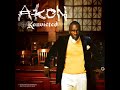 Akon - Don't Matter [HQ]