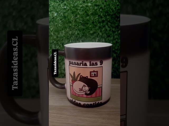 Vídeo relacionado con Taza de gato de estilo japonés, dulce taza de gato personalizada para gatos con cuchara colgante, regalo para mujeres, hombres, amantes de los gatos, niños, 350 ml (gato tricolor)