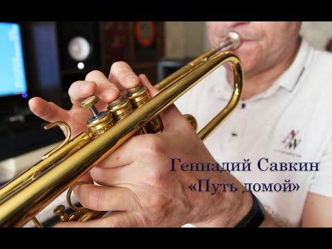 Геннадий Савкин - "Путь домой"
