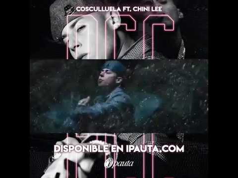 Cosculluela Feat. Chini Lee - Palos y Cortas Con Chip (Preview)
