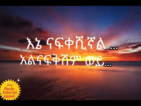 Hayleyesus Feyssa - Birtu fikir ( ሀይለየሱስ ፈይሳ - ብርቱ ፍቅር ) -Lyrics