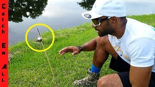 SURVIVAL TIP **CATCH TURTLES and FISH USING STICKS and BELLS ** DIY