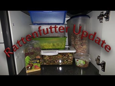 21 Neu Chinchilla Käfig Einrichtung Kaufen Grafiken 21 Neu Chinchilla Käfig Einrichtung Kaufen Grafiken