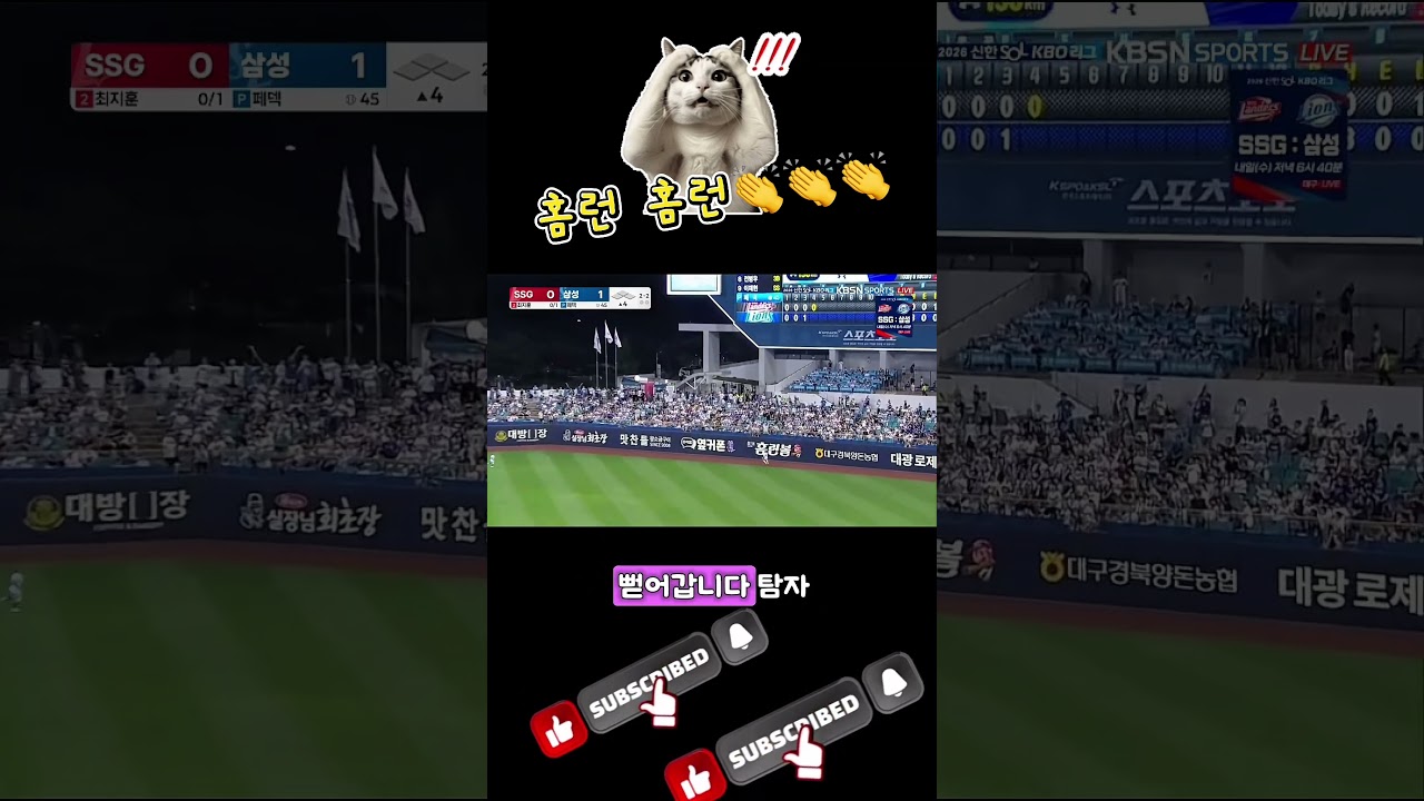홈런⚾️⚾️???????????????? #baseball #highlights #야구야놀자 #KBO