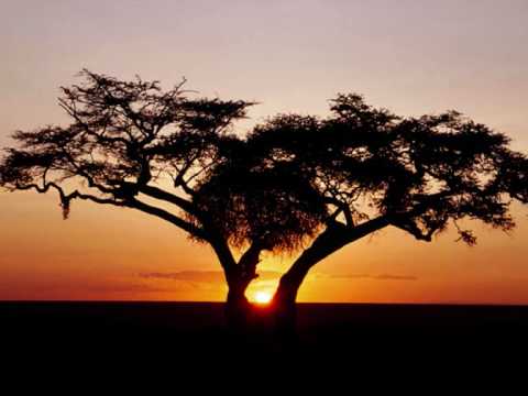 Waka Waka-Joker Remix.wmv