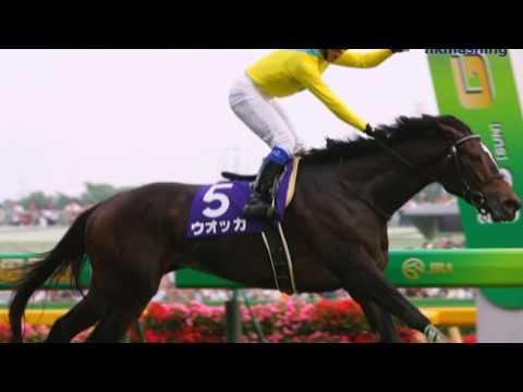2008 Yasuda Kinen G1 - Vodka (伏特加) - Y.Iwata (好利威快跟入位表現出色)