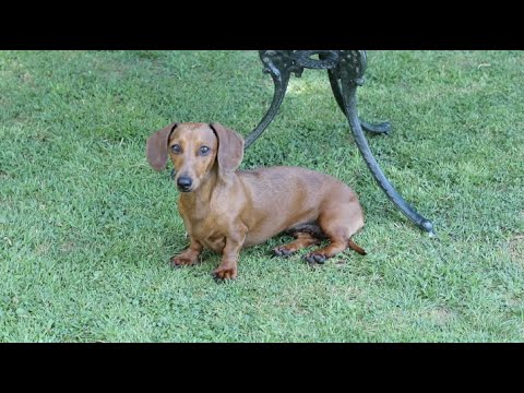 QuarantinEtiquette - Episode 45 -  Gift Wrapping - #StayHome #WithMe