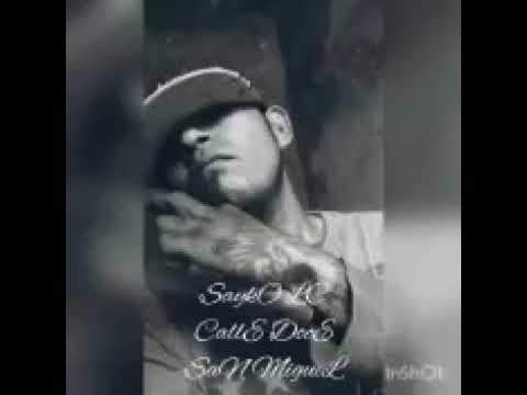 Sayko LC - AmanEcidO