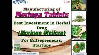 Moringa Tablets Manufacturing | Best Investment in Herbal Drug | Moringa Oleifera For Startup.